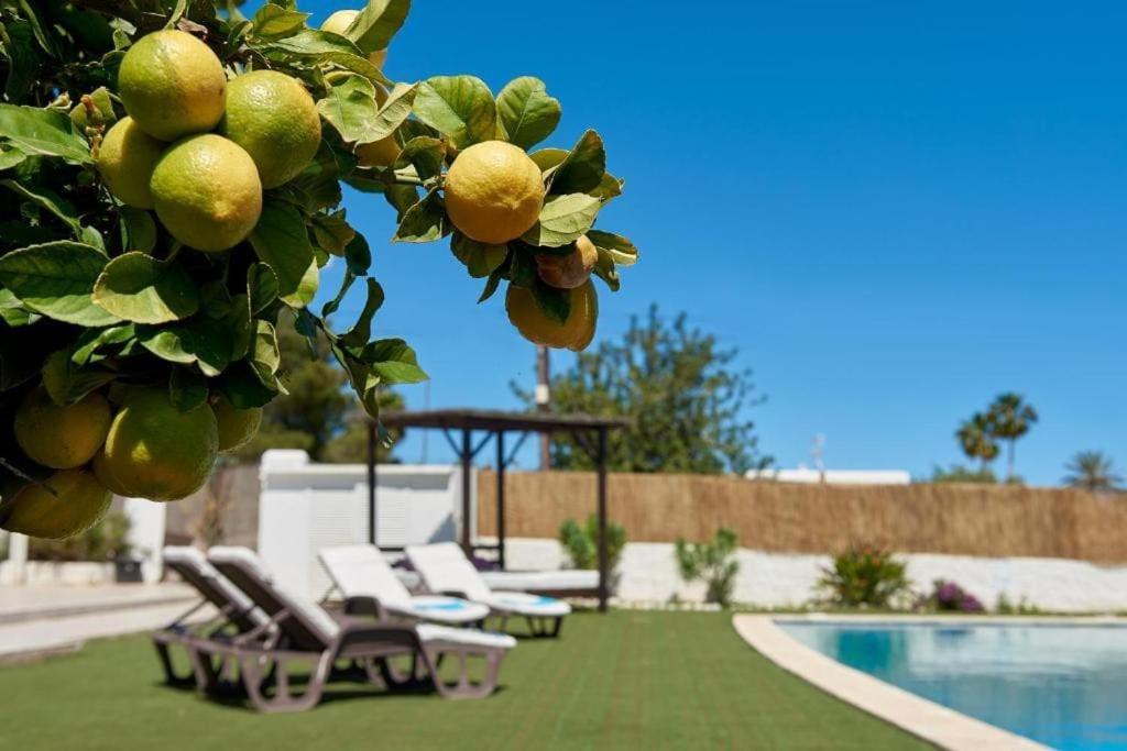 The Lovely Villa Ibiza Ngoại thất bức ảnh
